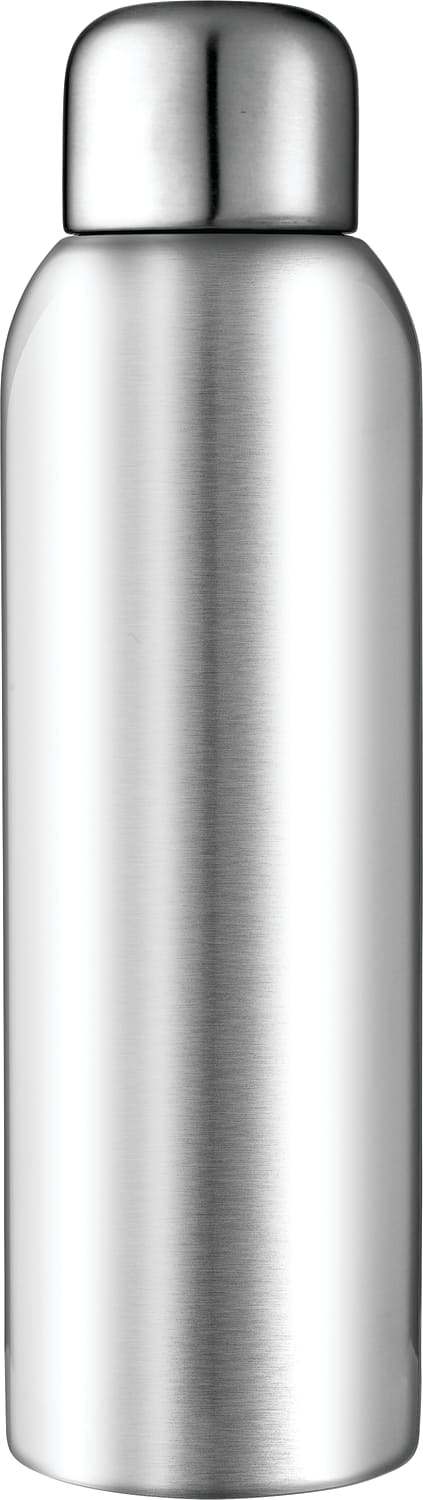 Guzzle 28oz Stainless Sports Bottle