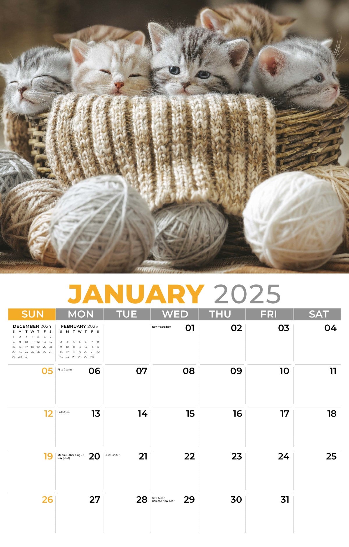 Galleria Wall Calendar 2025 Kittens Calendar