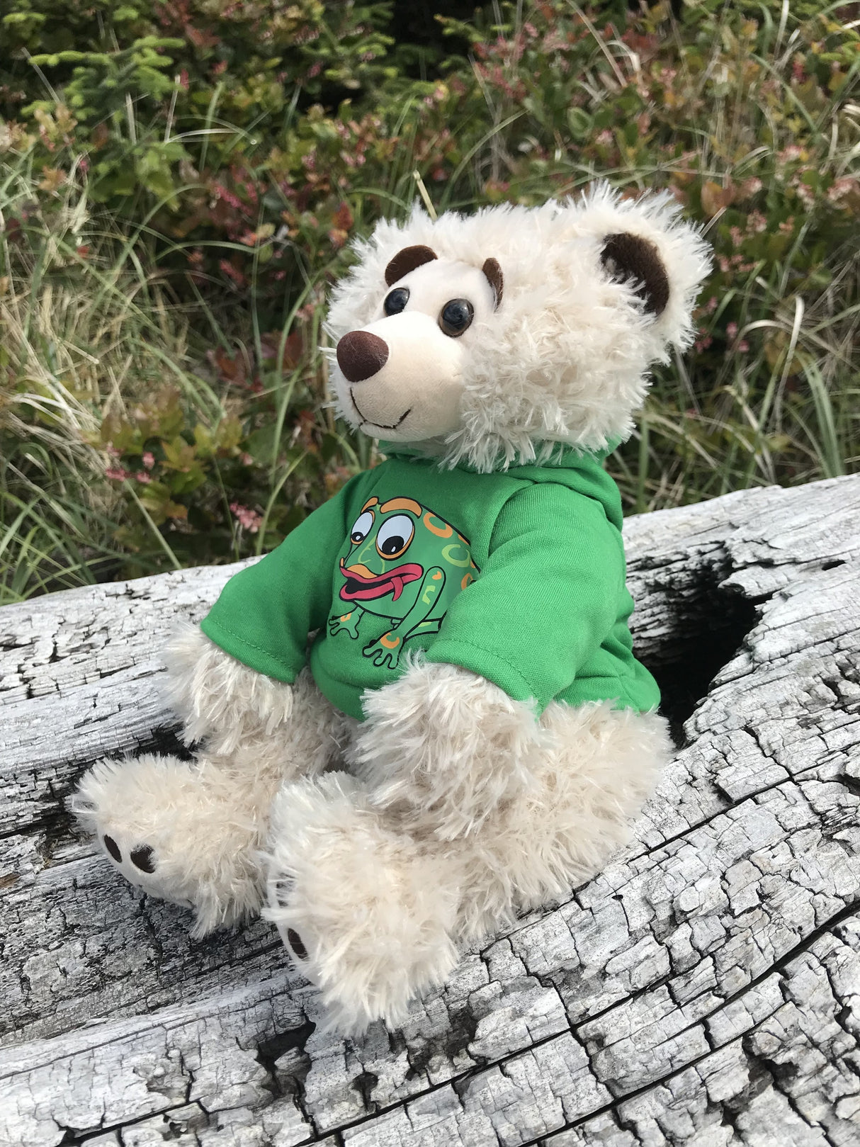 Mokey Spirit Bear by Bill Helin w/Hoodie