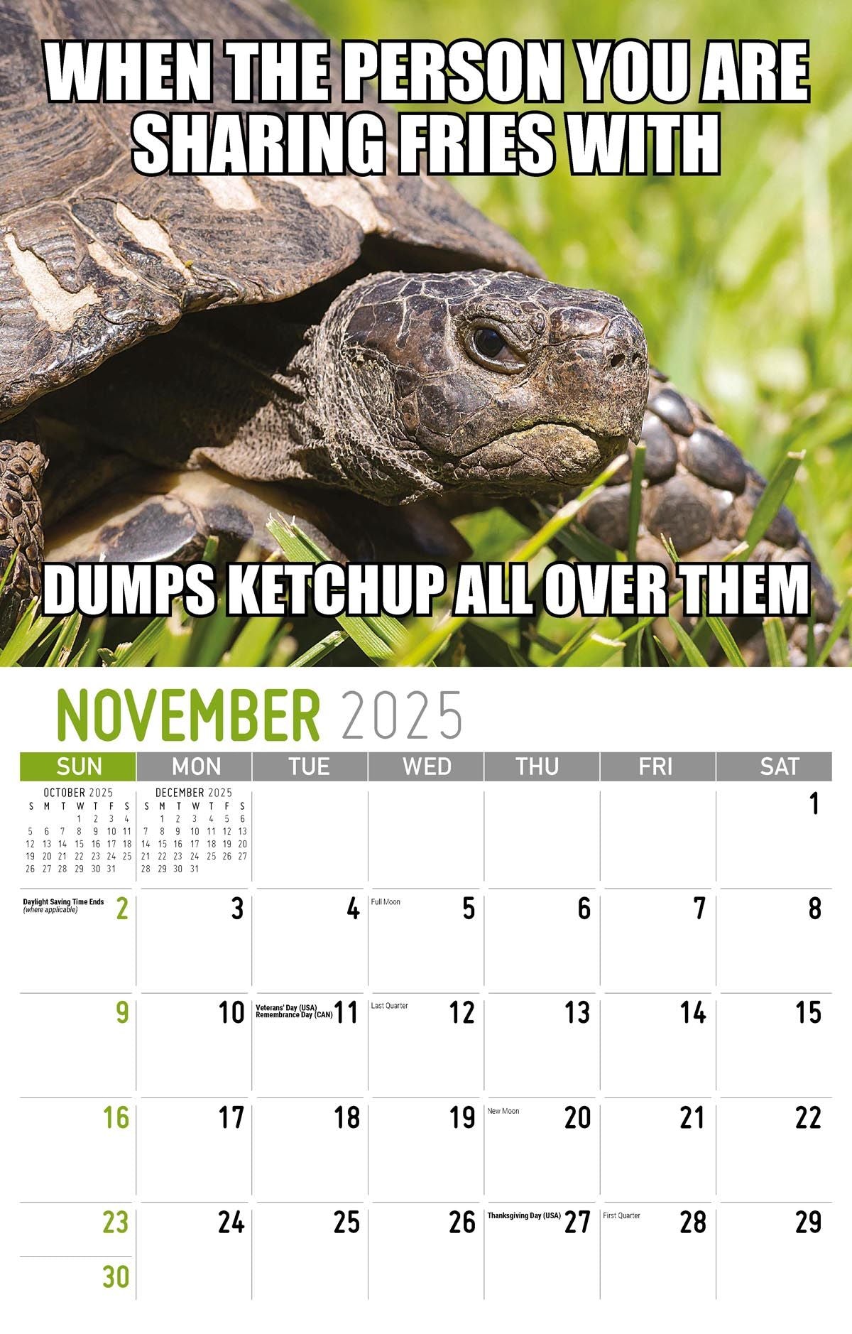 Galleria Wall Calendar 2025 The Memeing Of Life