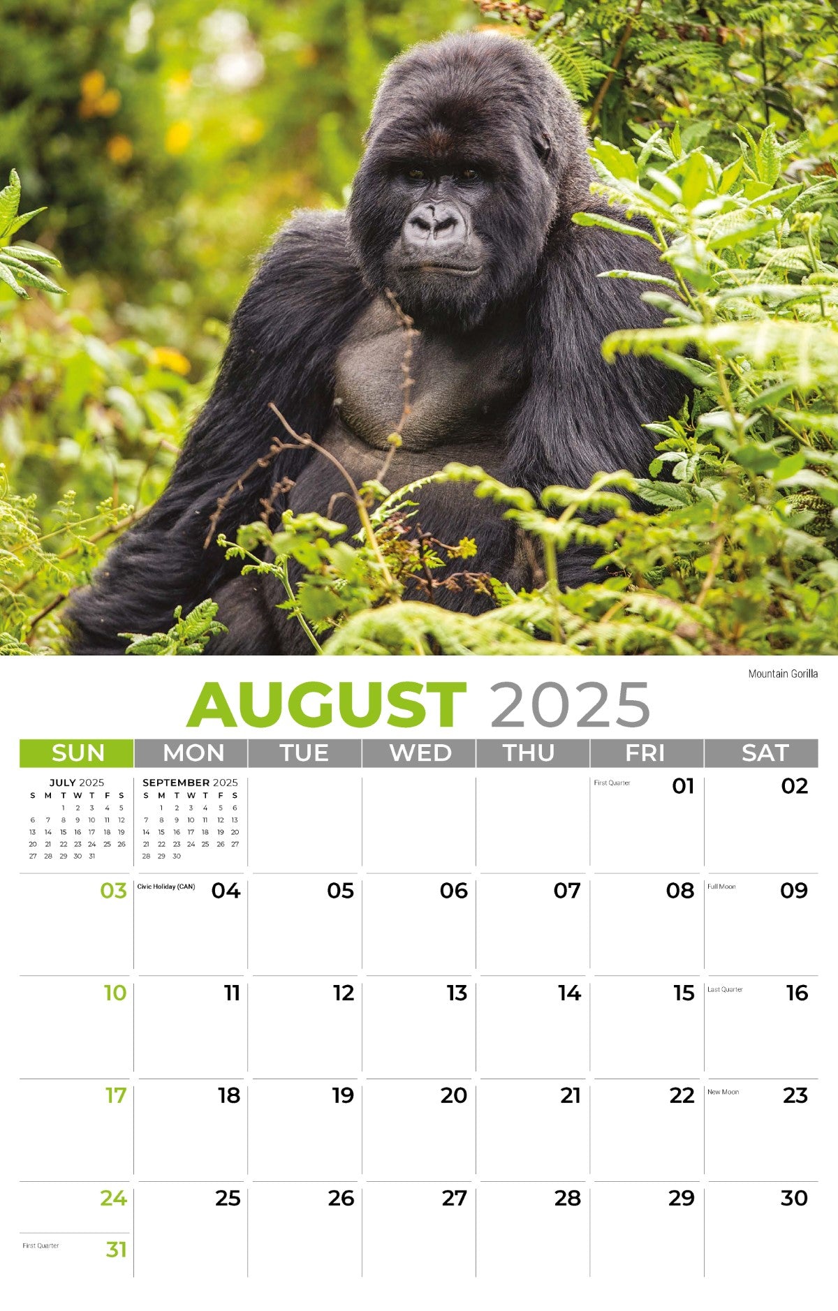 Galleria Wall Calendar 2025 International Wildlife