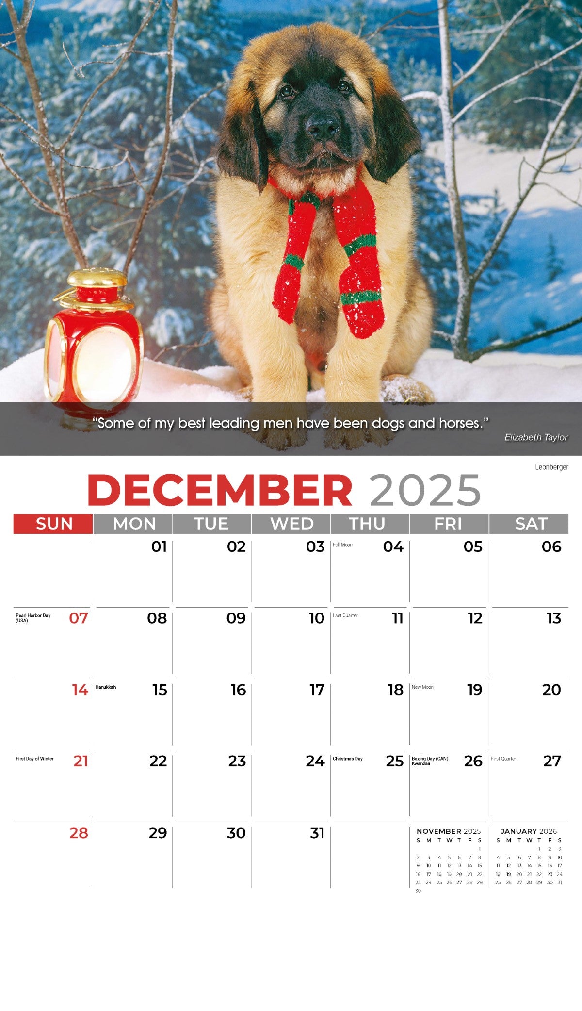 Galleria Wall Calendar 2025 Dogs Calendar