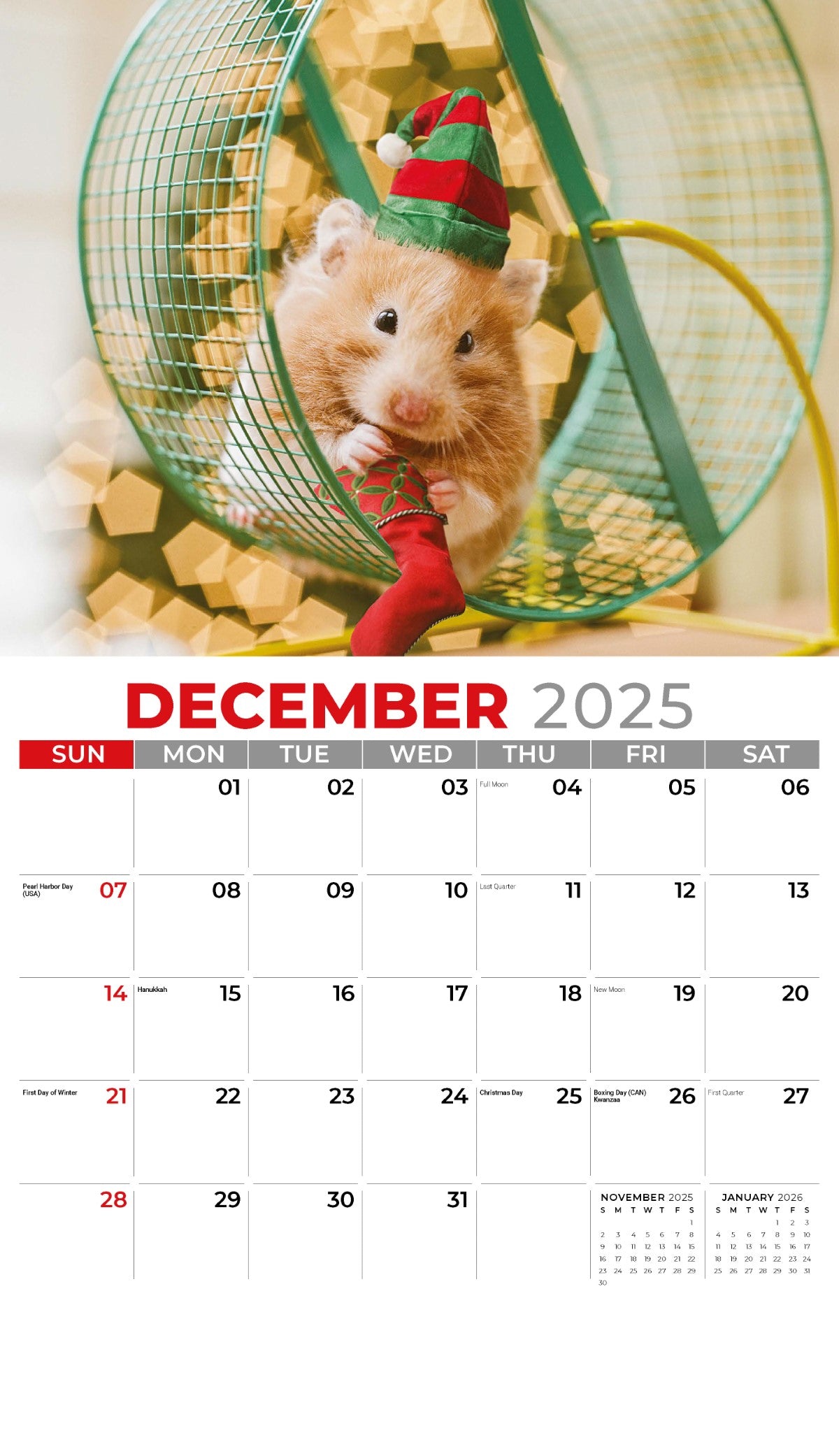 Galleria Wall Calendar 2025 Pets