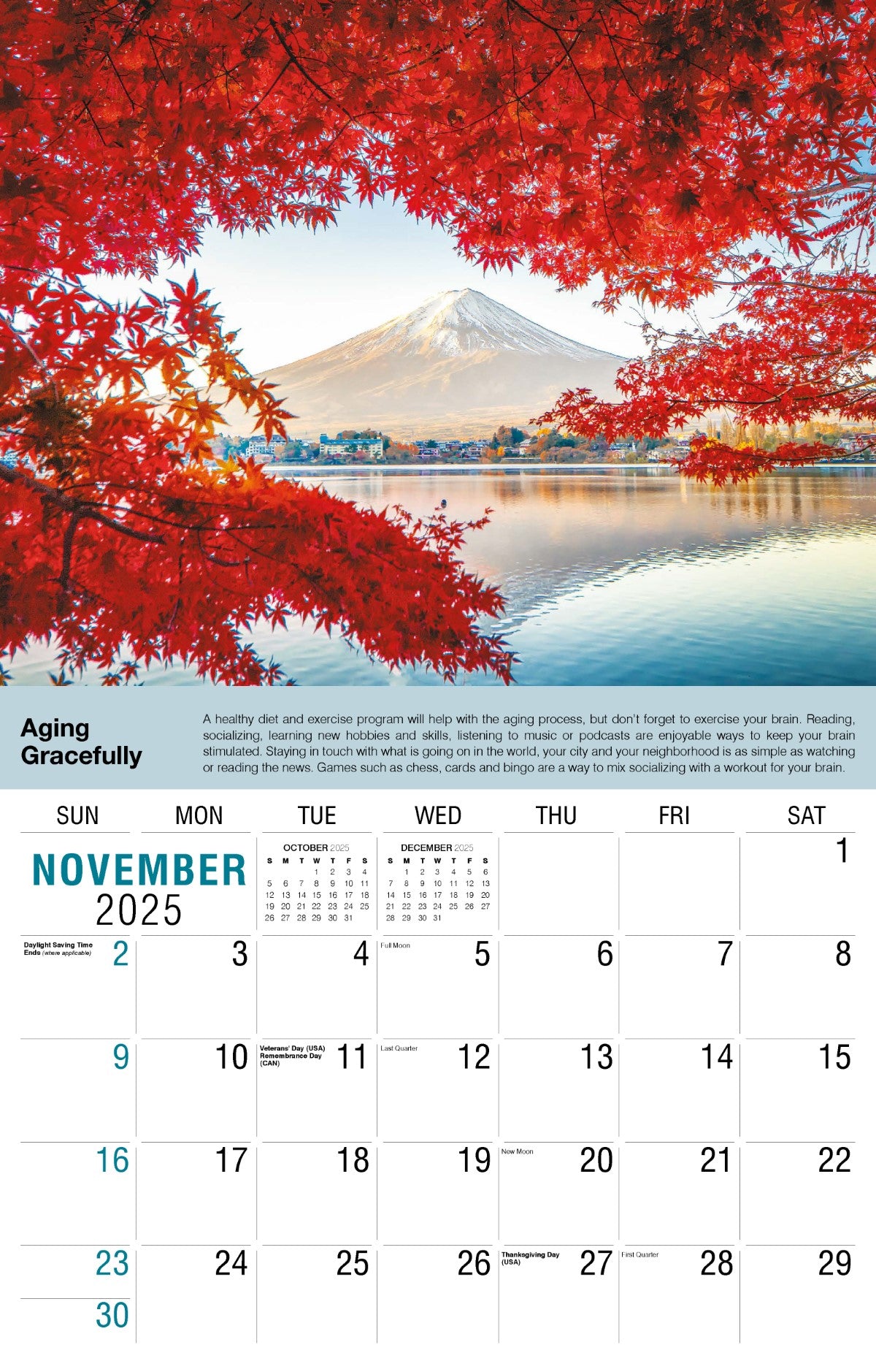 Galleria Wall Calendar 2025 Health Tips