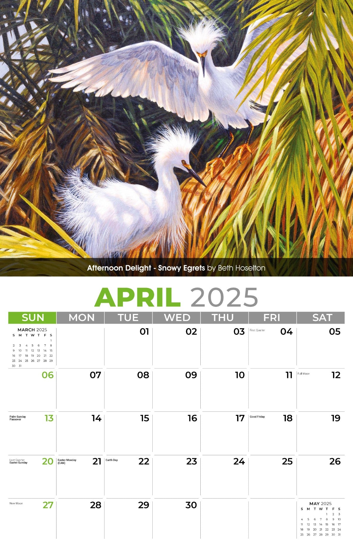 Galleria Wall Calendar 2025 Wildlife Portraits