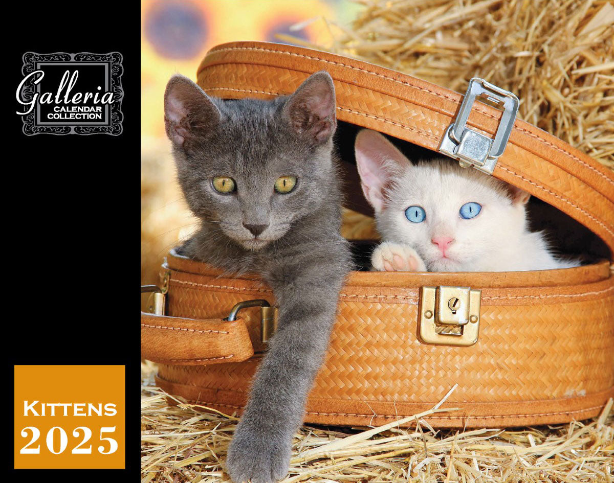 Galleria Wall Calendar 2025 Kittens Calendar