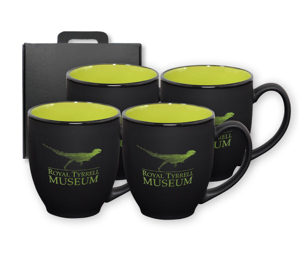 ~ Bistro 16oz 2tone black/green mug S/4 in Raven gift box