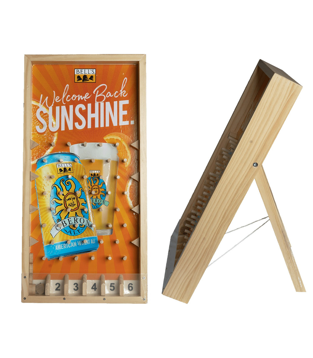 Table Top Disc Drop Game