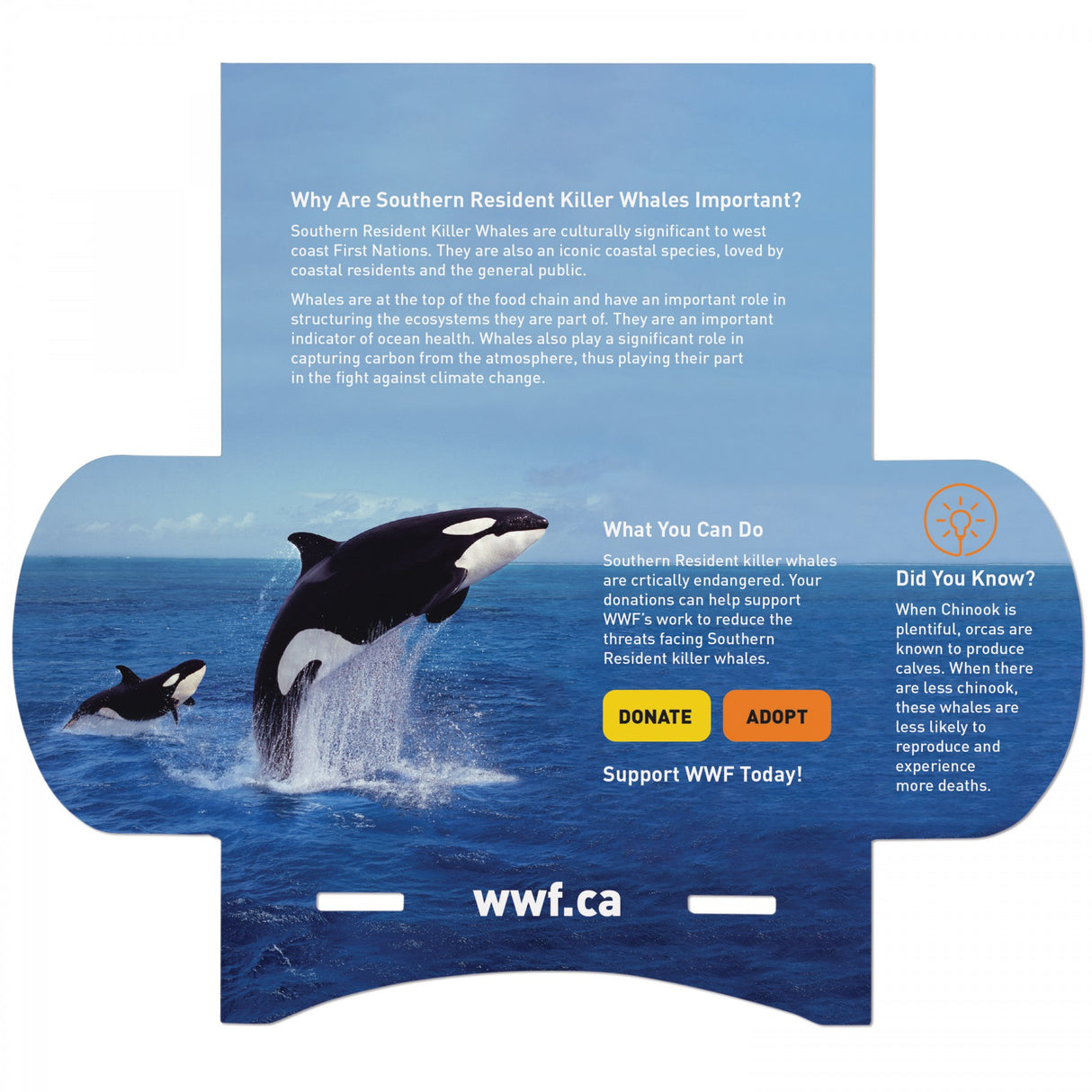 With Kiwi Scent And Large Customizable Sleeve 0 07 Fl Oz / 2 Ml Per Packet