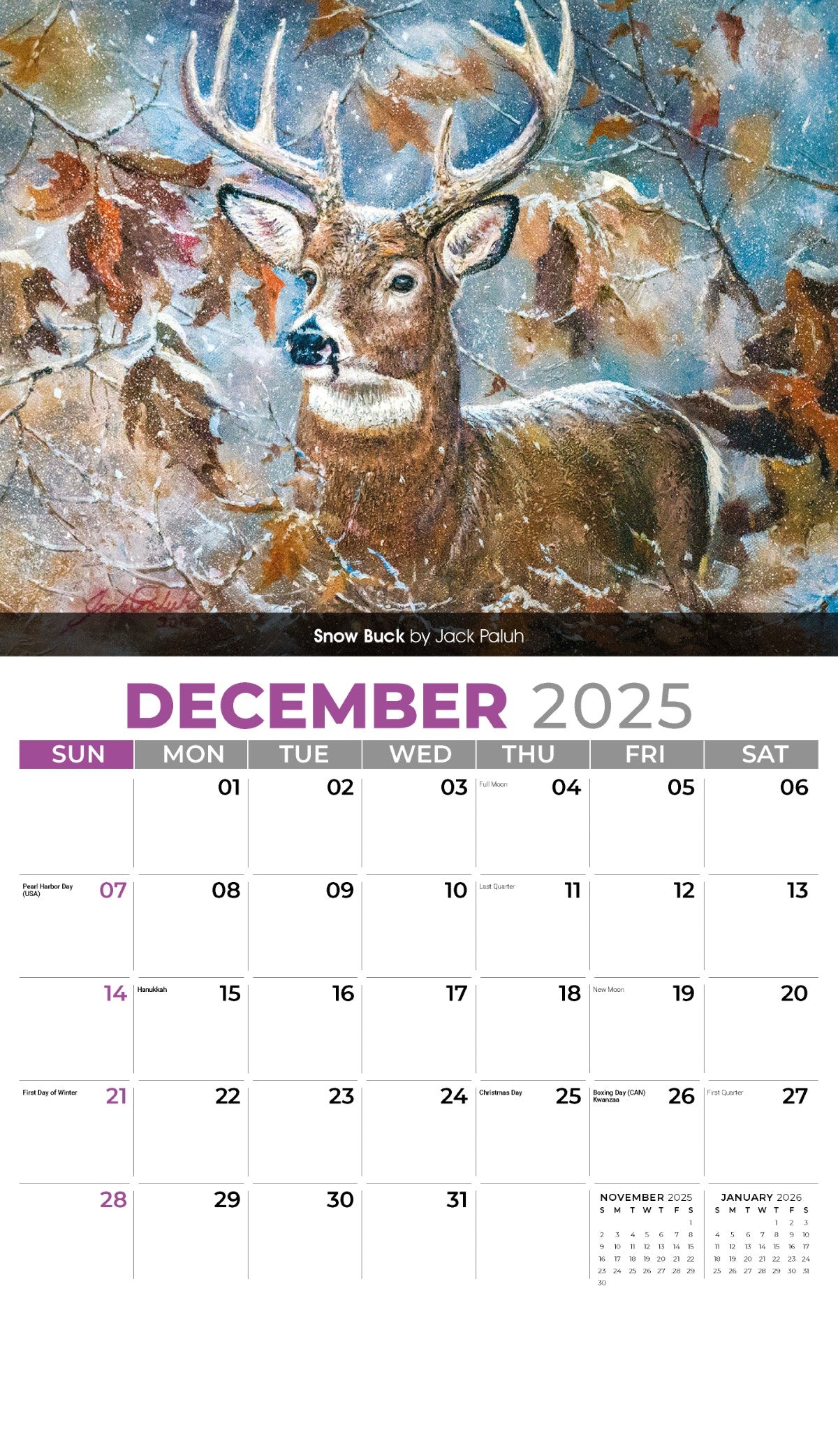 Galleria Wall Calendar 2025 Wildlife Portraits