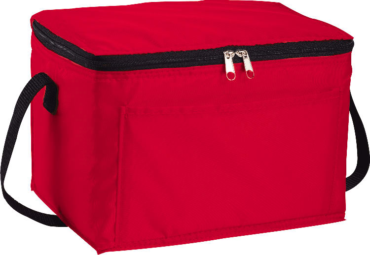 Spectrum Budget 6-Can Lunch Cooler