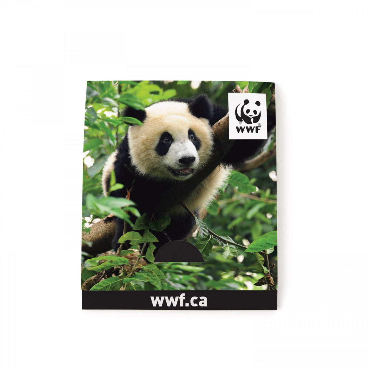 With Kiwi Scent And Small Customizable Sleeve 0 07 Fl Oz / 2 Ml Per Packet