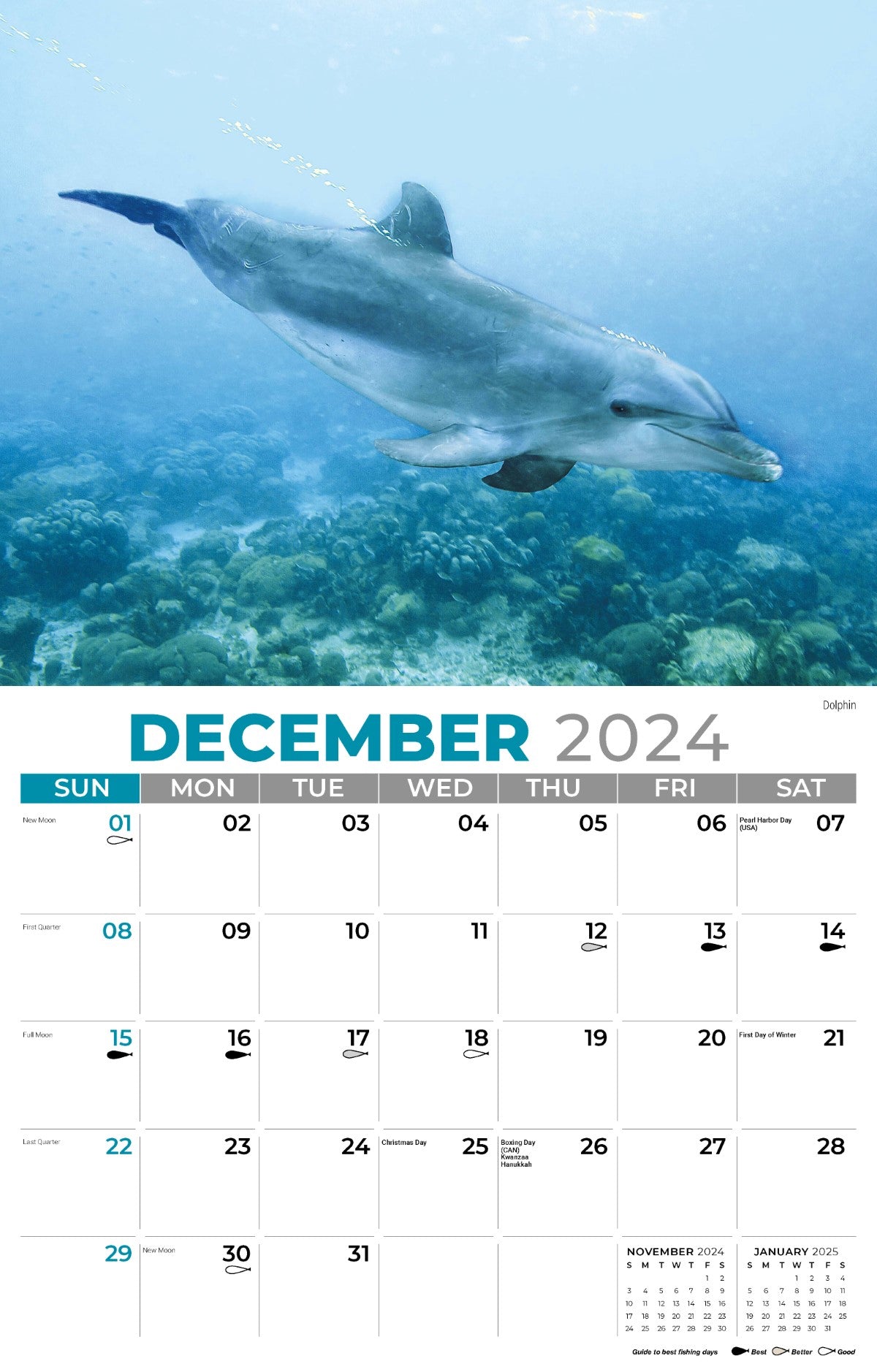Galleria Wall Calendar 2025 North American Wildlife