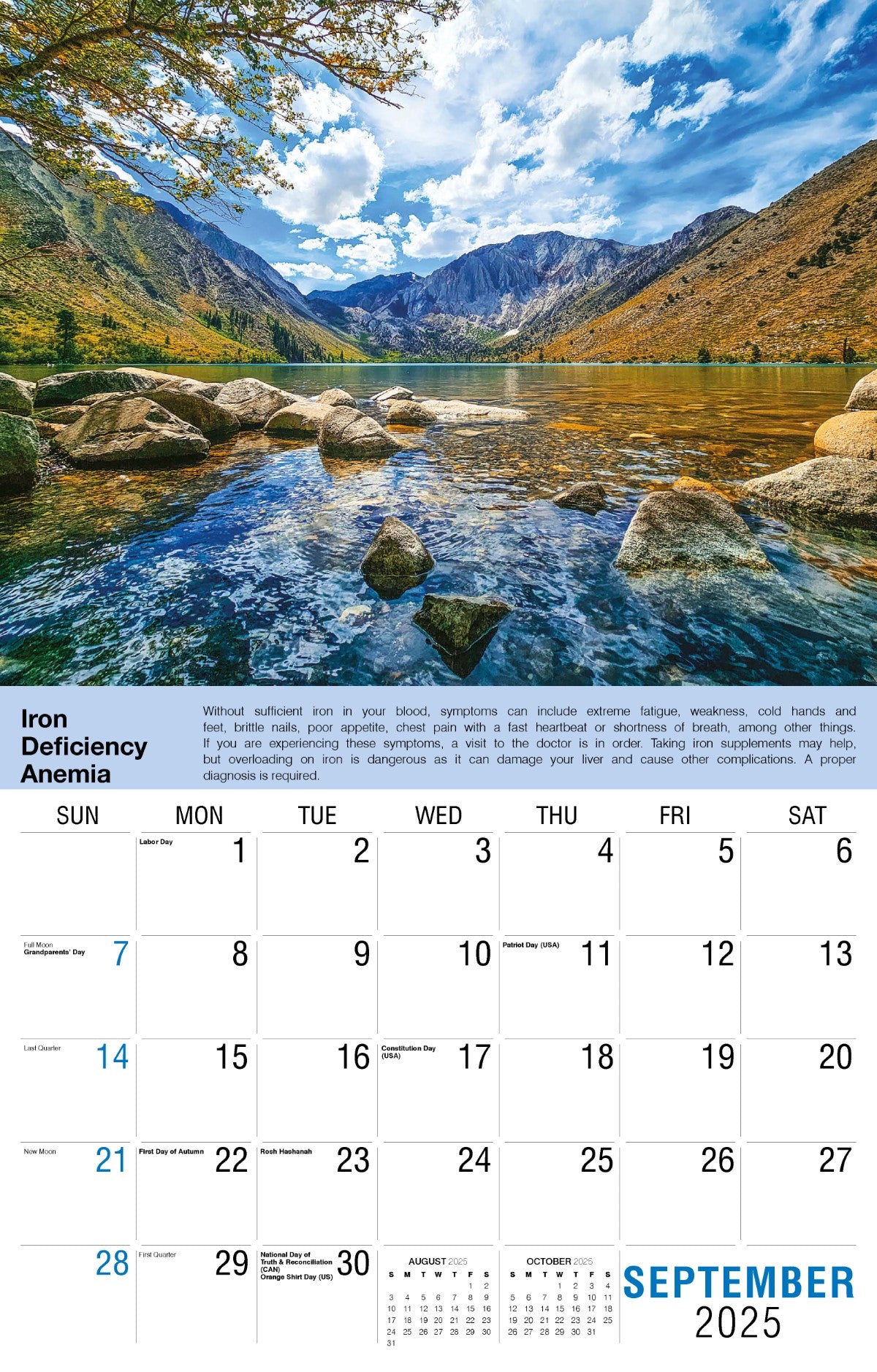 Galleria Wall Calendar 2025 Health Tips