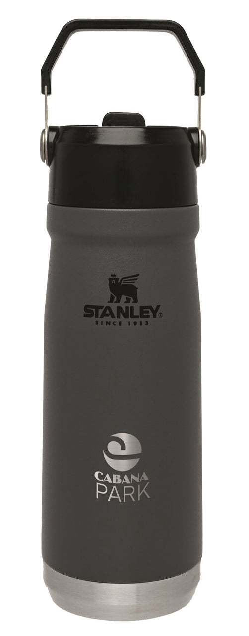 Stanley® IceFlow 22oz Flip Straw Water Bottle, grey - Etched