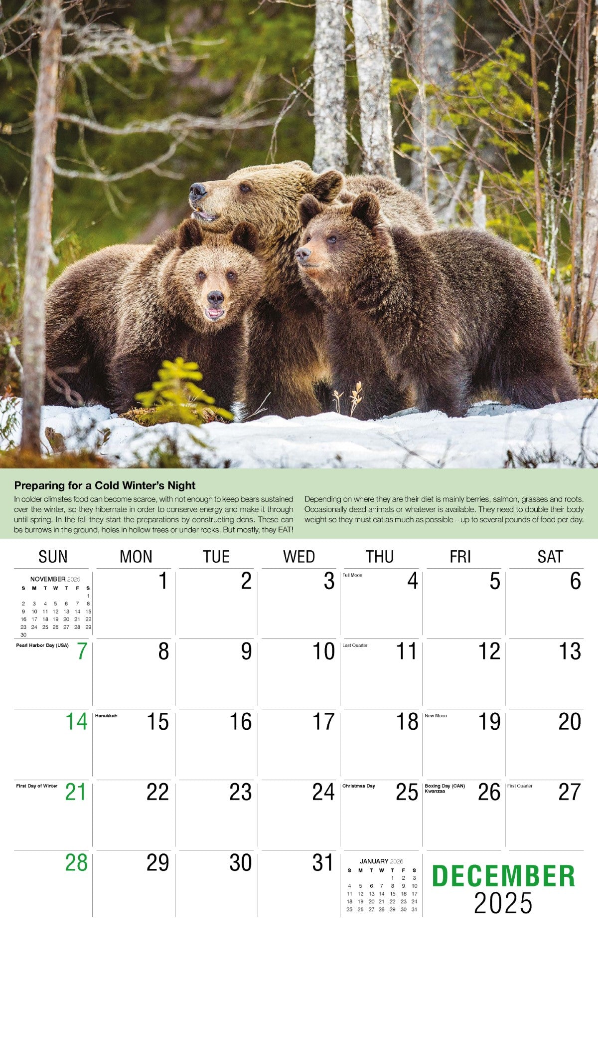 Galleria Wall Calendar 2025 Planet Earth Calendar
