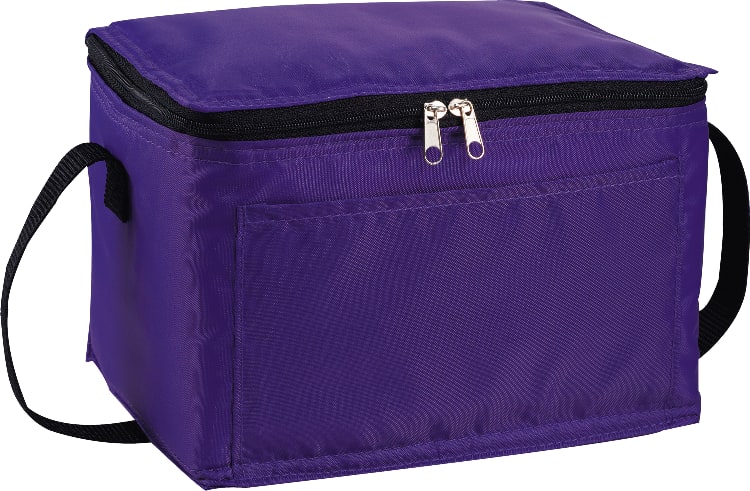 Spectrum Budget 6-Can Lunch Cooler