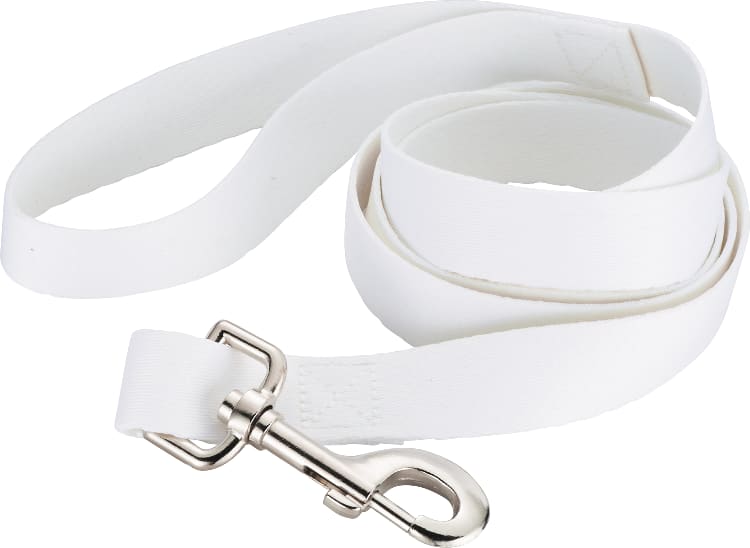 Full Color 1" Wide Premium Pet Leash