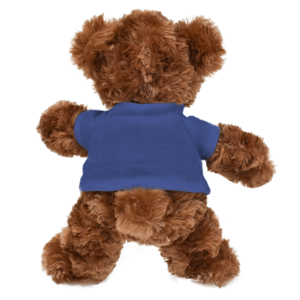 6.5" Junior Roary Bear w/T-Shirt