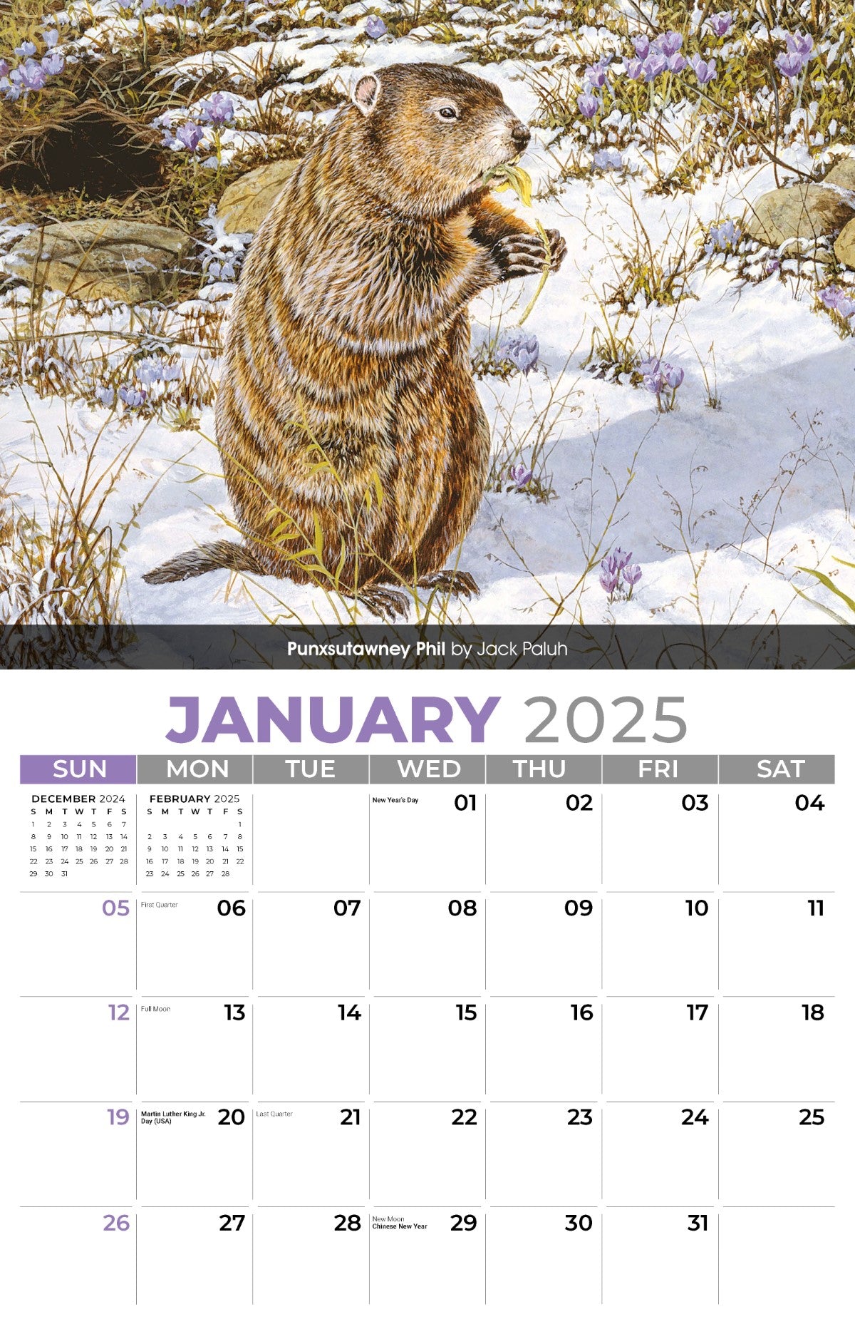 Galleria Wall Calendar 2025 Wildlife Portraits