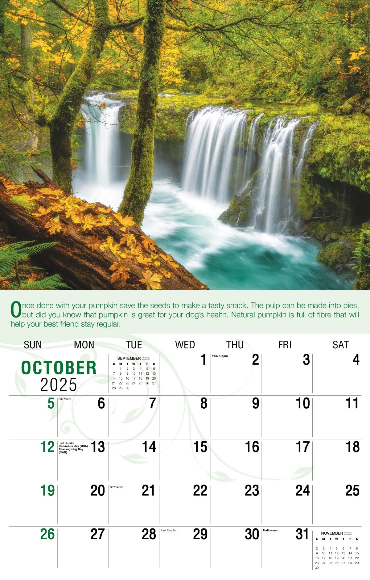 Galleria Wall Calendar 2025 Go Green Calendar