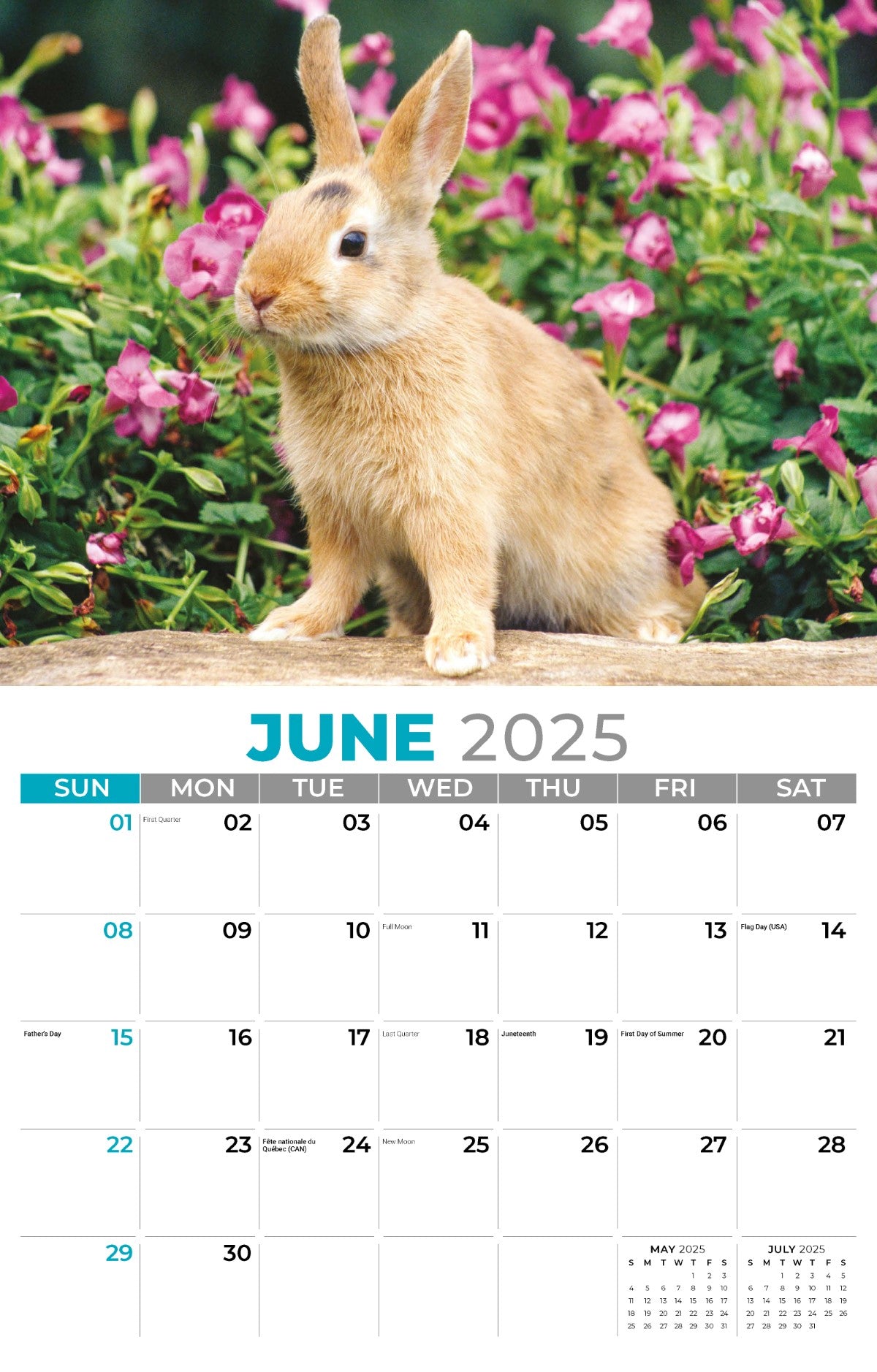 Galleria Wall Calendar 2025 Pets