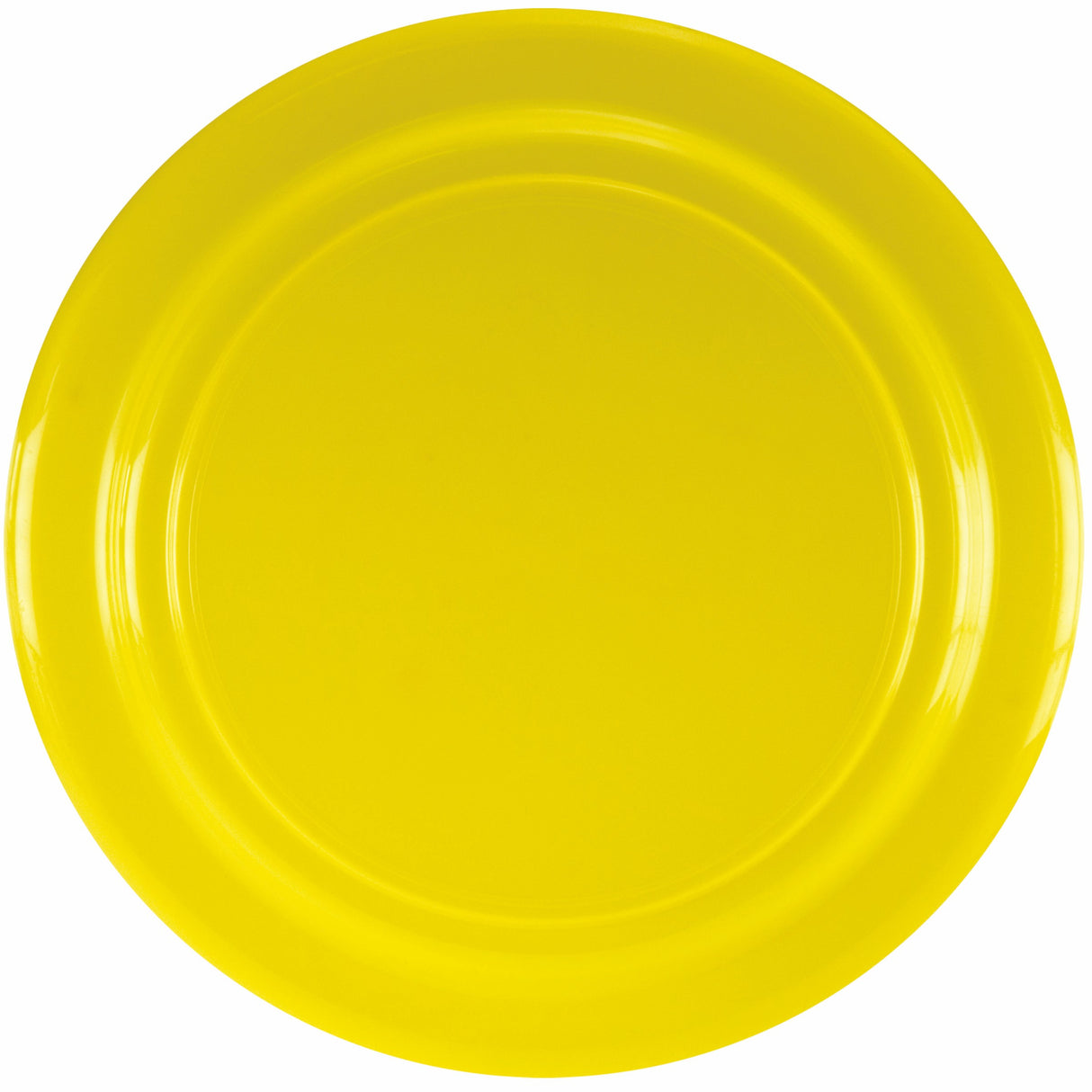 9" Fido Friendly Flyer