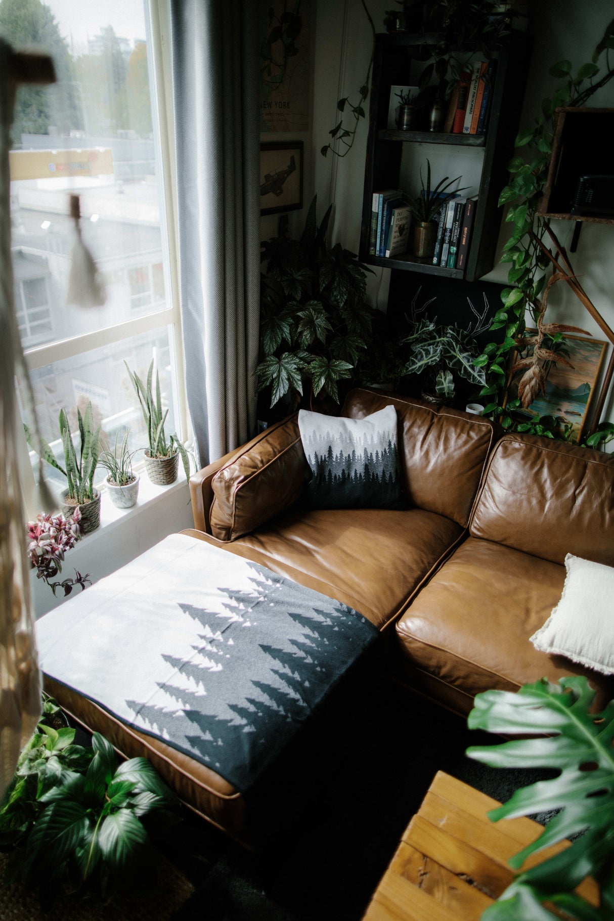 tentree Organic Cotton Juniper Blanket