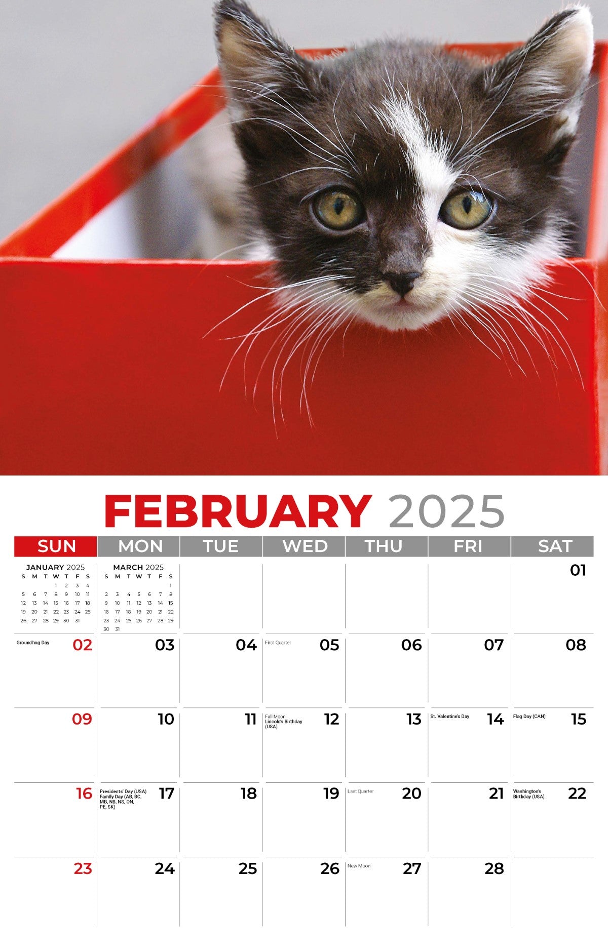Galleria Wall Calendar 2025 Kittens Calendar