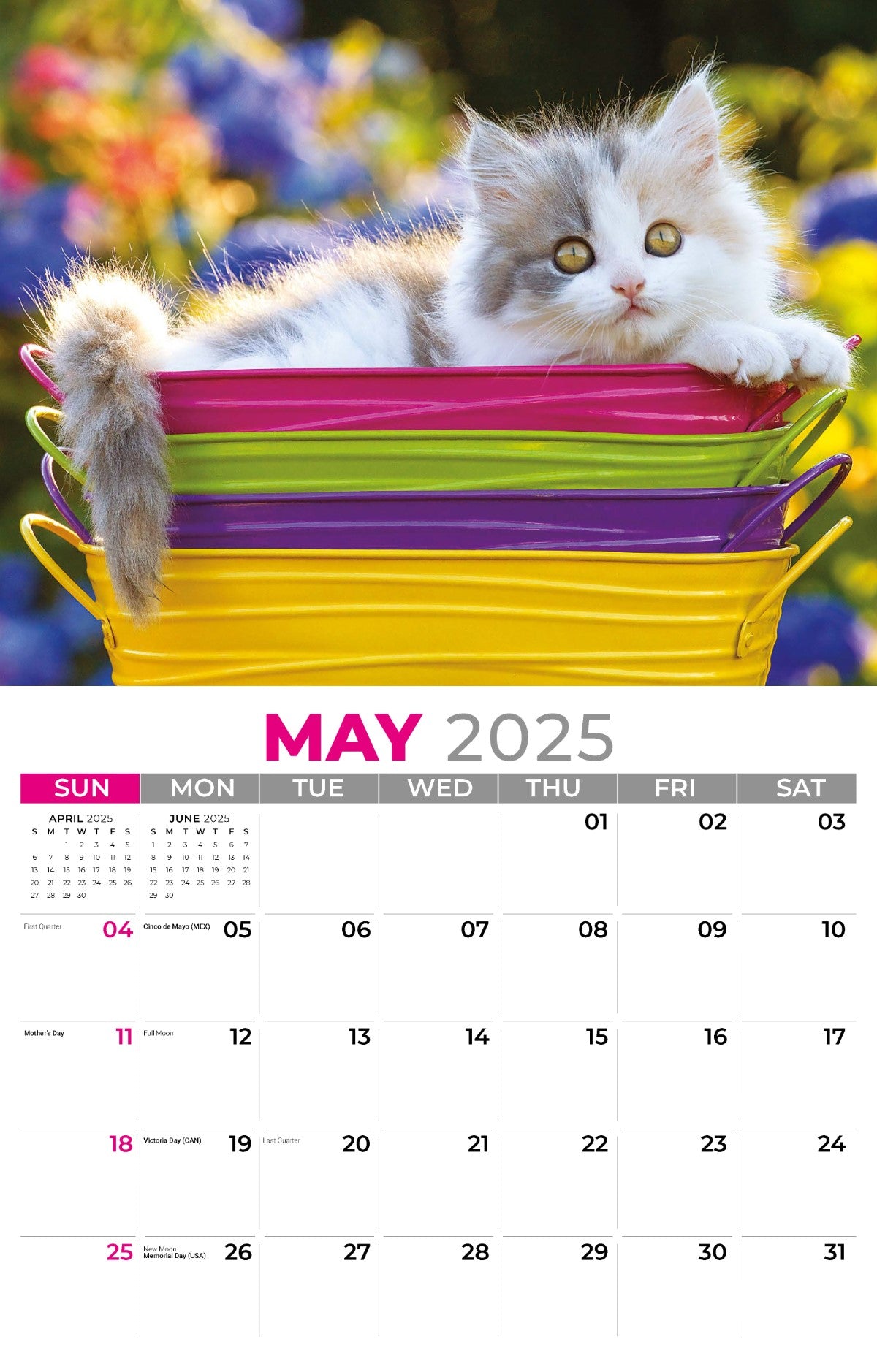 Galleria Wall Calendar 2025 Pets