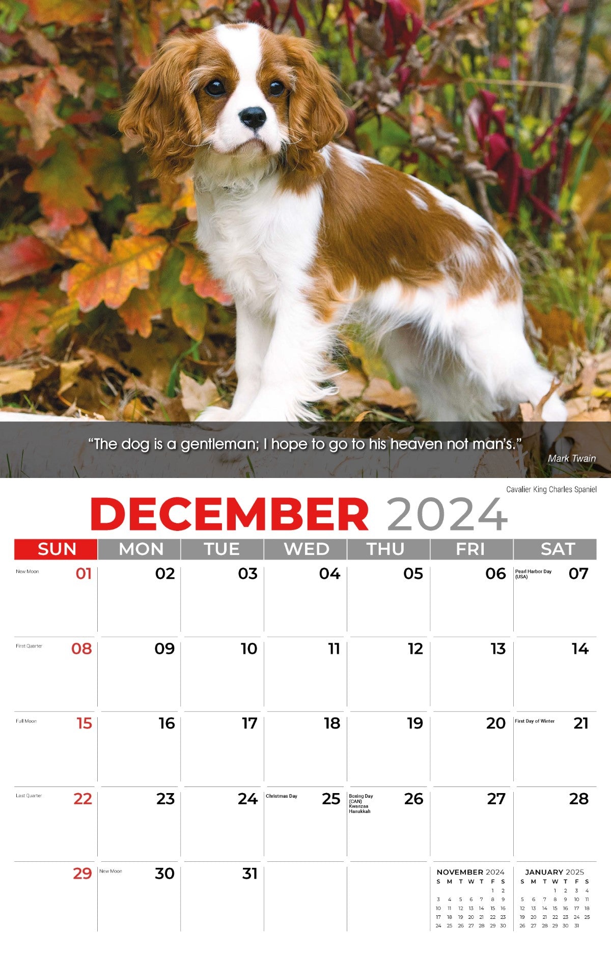 Galleria Wall Calendar 2025 Dogs Calendar