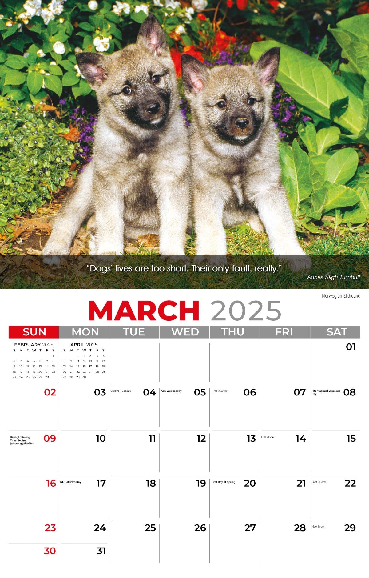 Galleria Wall Calendar 2025 Dogs Calendar
