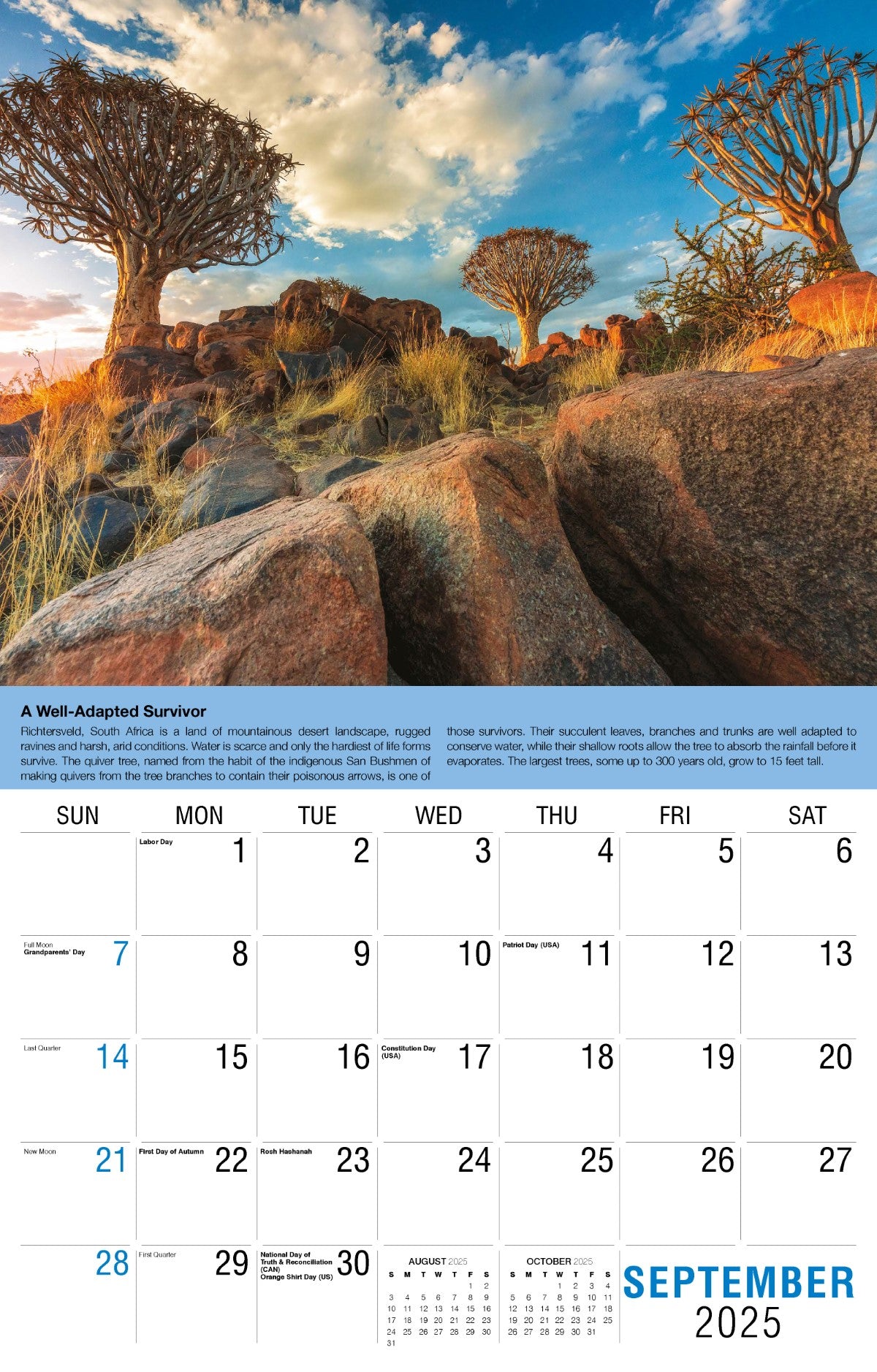 Galleria Wall Calendar 2025 Planet Earth Calendar