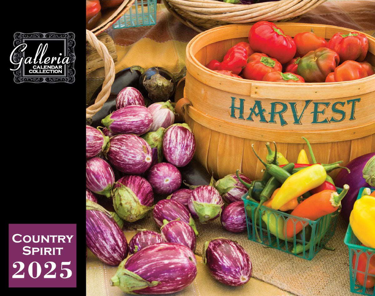 Galleria Wall Calendar 2025 Country Spirit