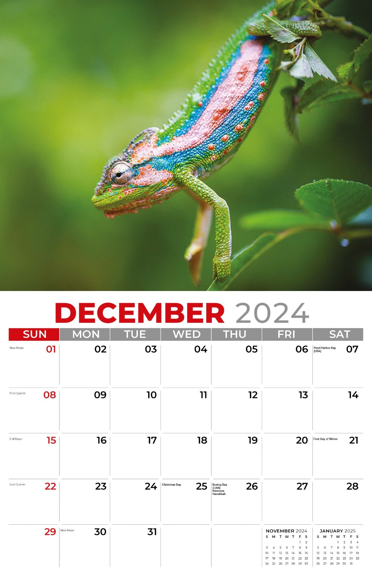 Galleria Wall Calendar 2025 Pets