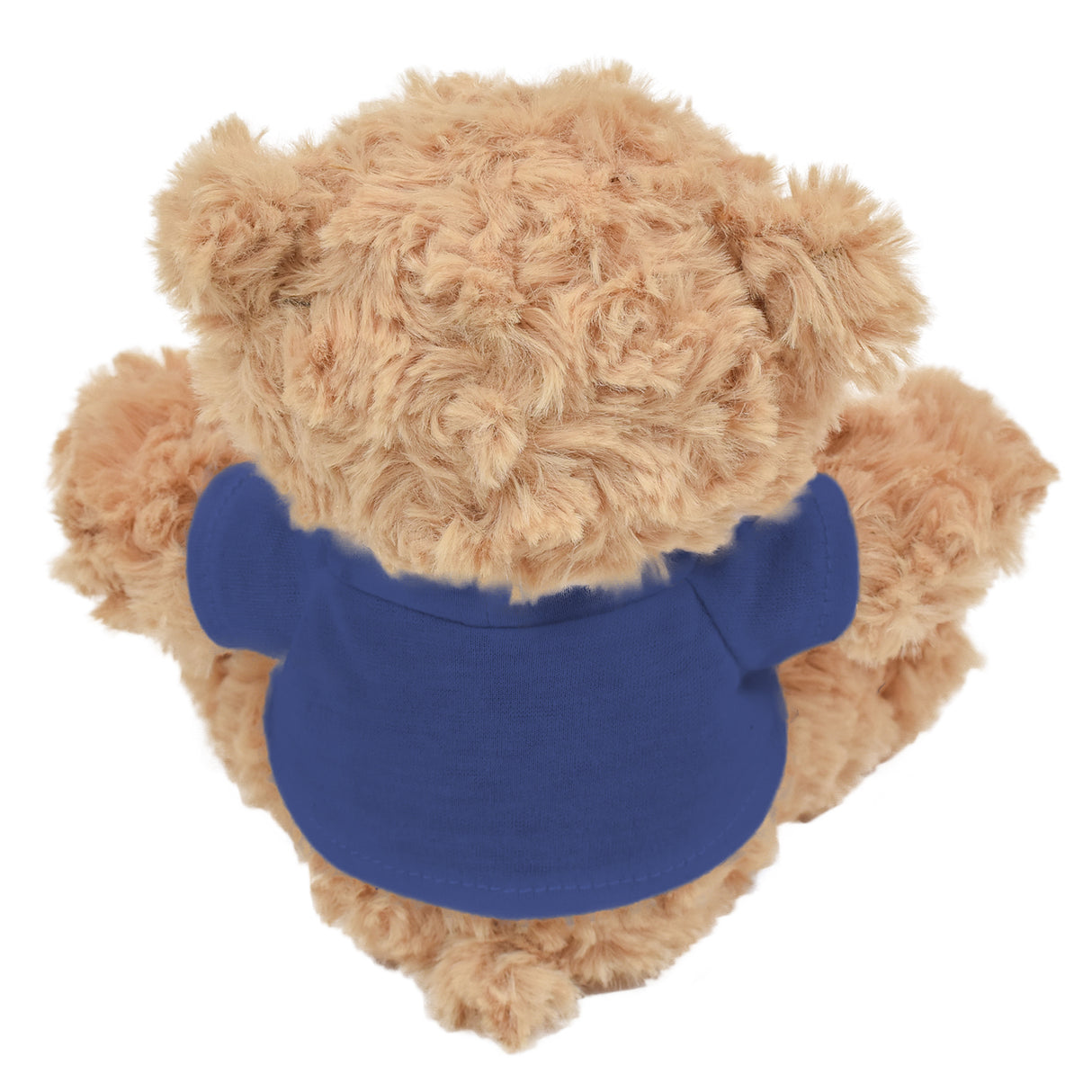 6.5" Junior Cooper Bear w/T-Shirt