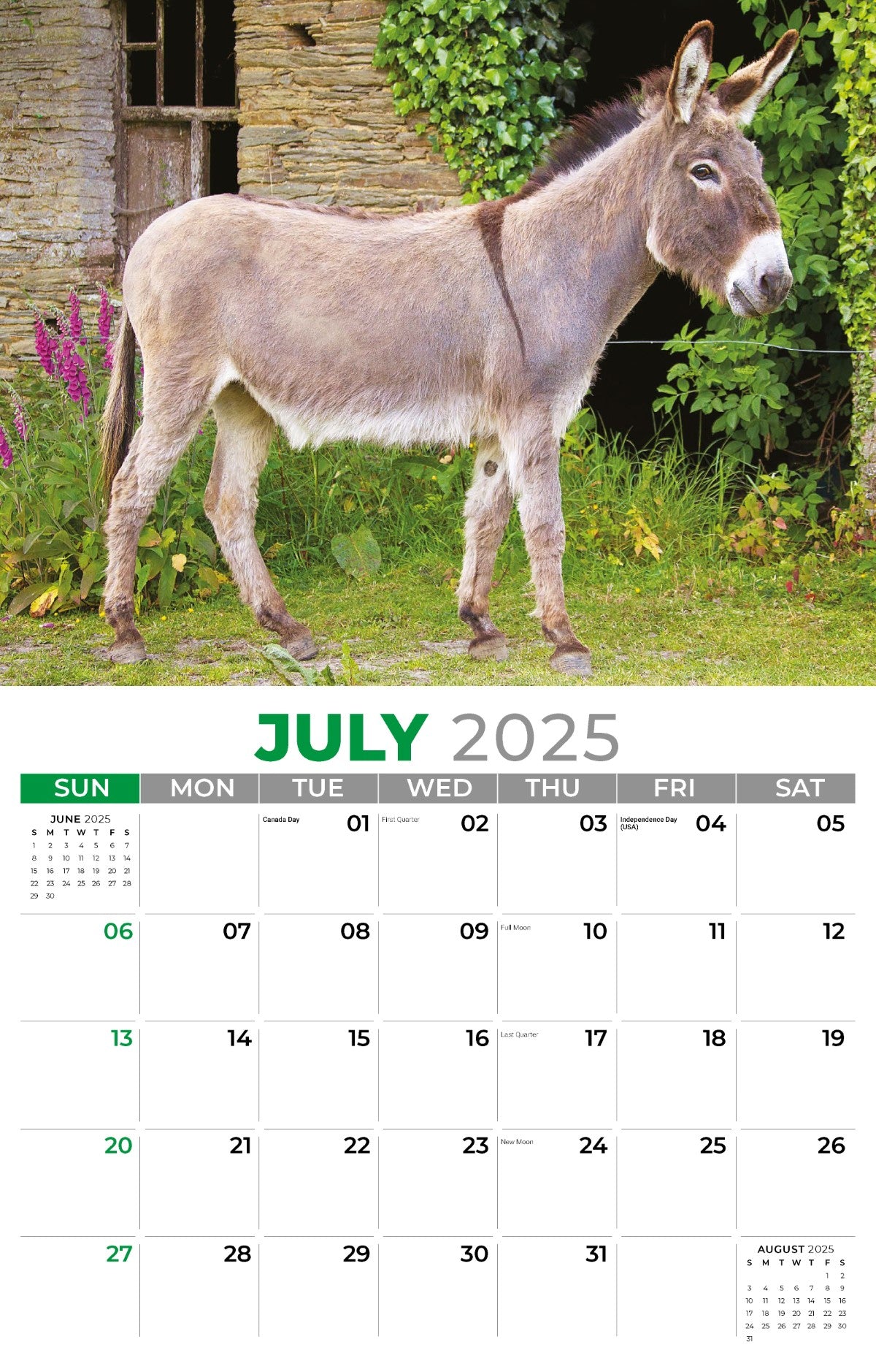 Galleria Wall Calendar 2025 Pets