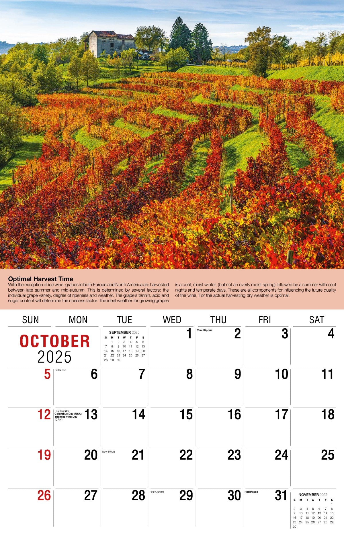 Galleria Wall Calendar 2025 Vintages