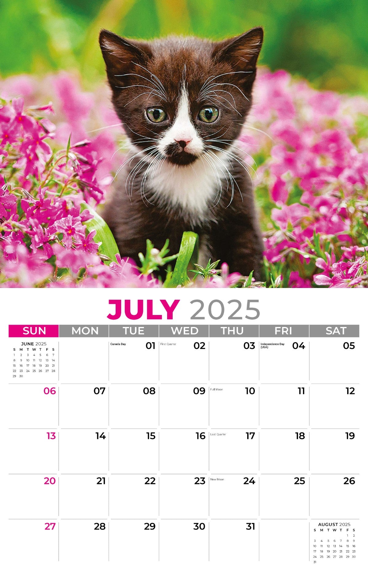 Galleria Wall Calendar 2025 Kittens Calendar