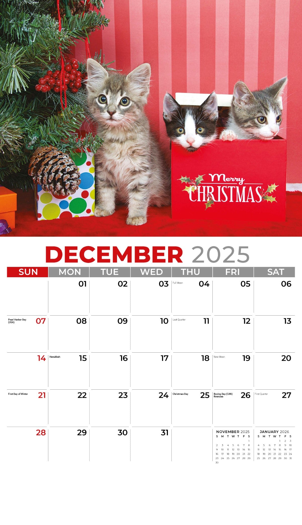 Galleria Wall Calendar 2025 Kittens Calendar