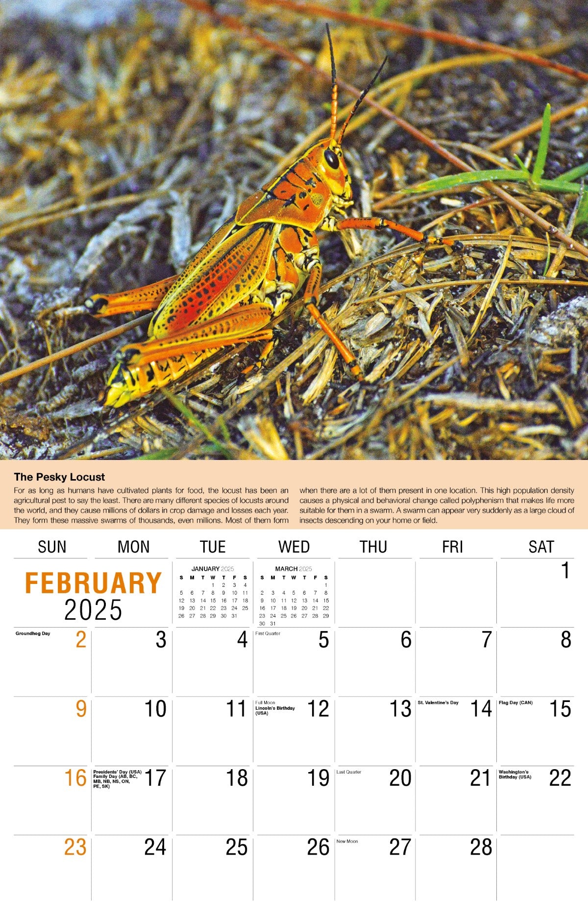 Galleria Wall Calendar 2025 Planet Earth Calendar