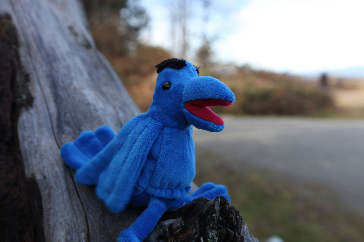 Gak the Raven Finger Puppet by Bill Helin