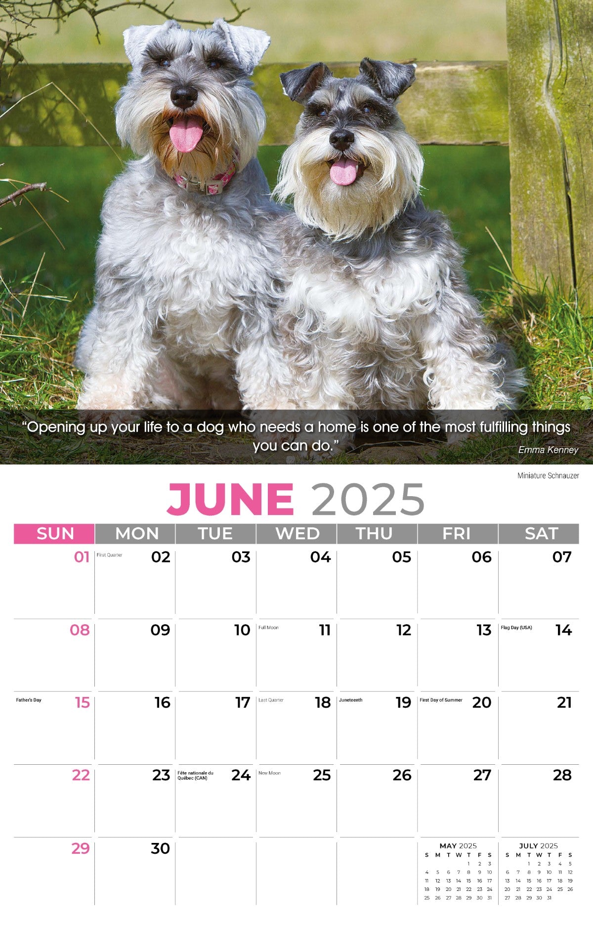 Galleria Wall Calendar 2025 Dogs Calendar