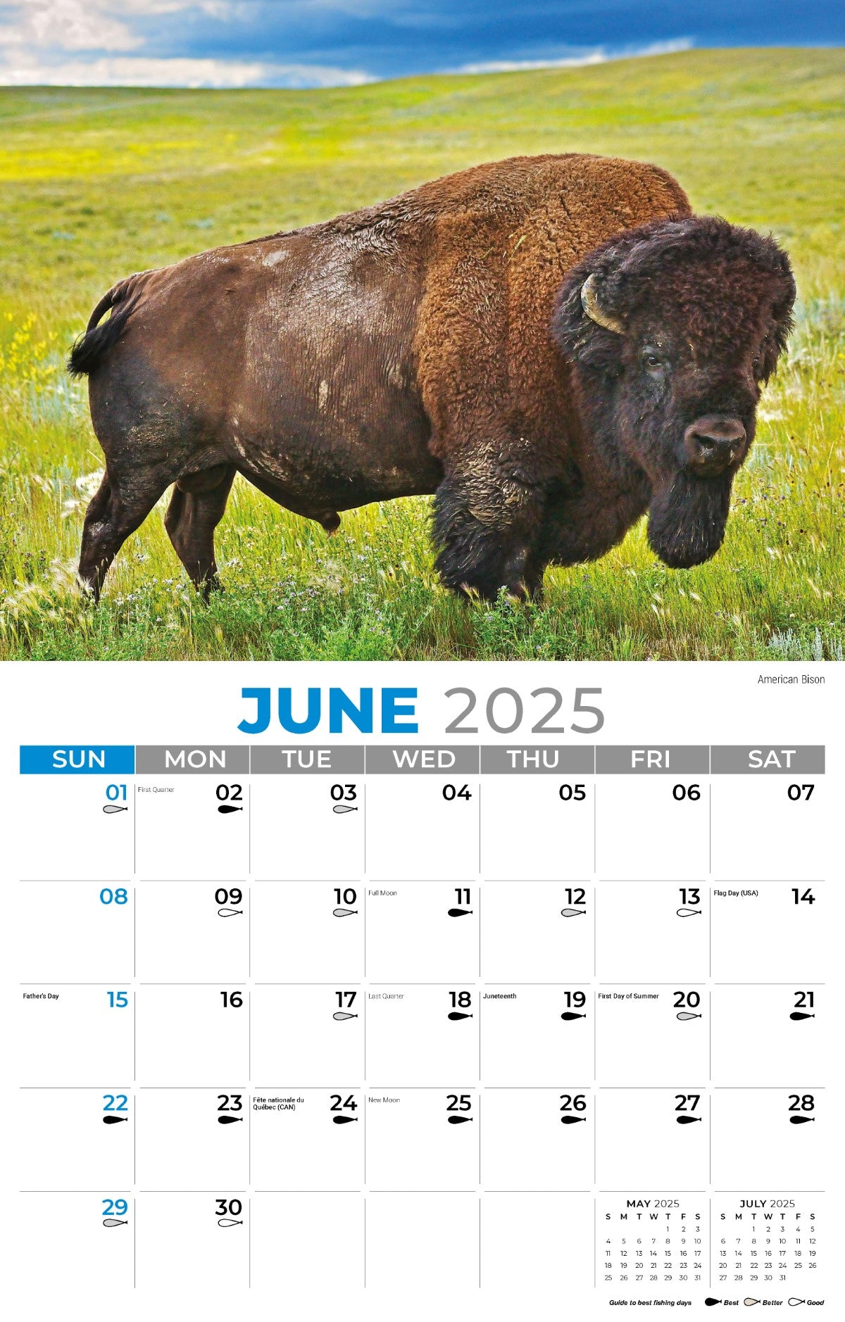 Galleria Wall Calendar 2025 North American Wildlife
