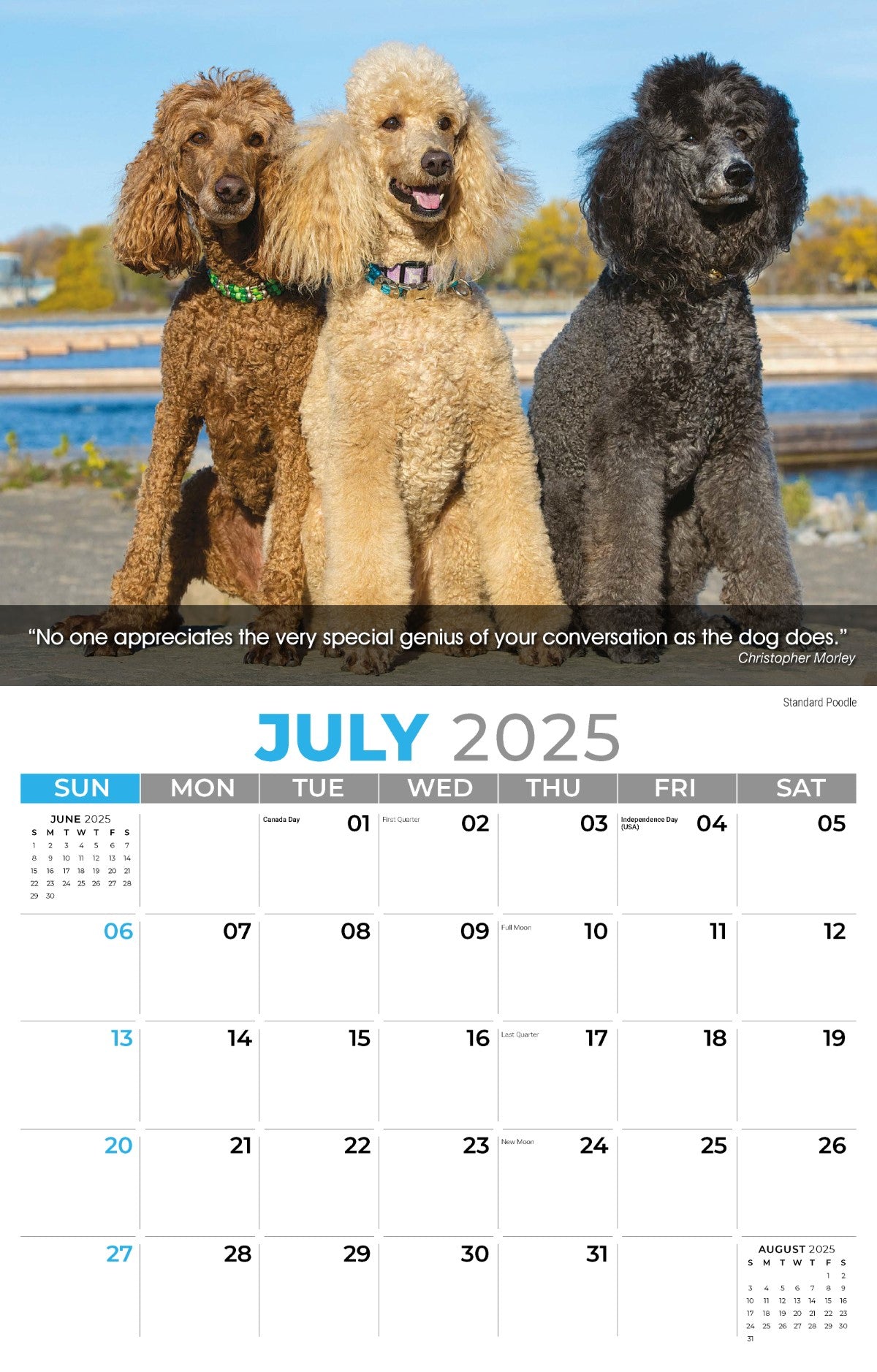 Galleria Wall Calendar 2025 Dogs Calendar