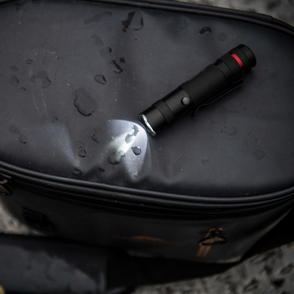 Coast® Dual-Color Light