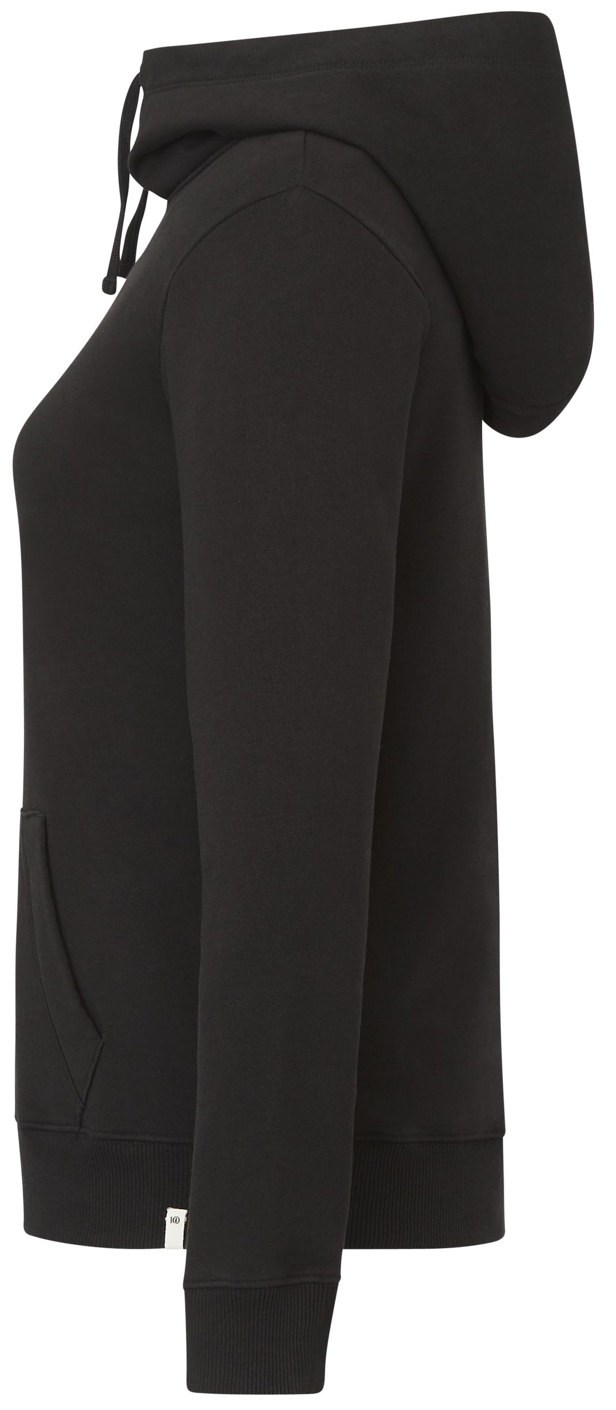 tentree Organic Cotton Banshee Hoodie - Women's