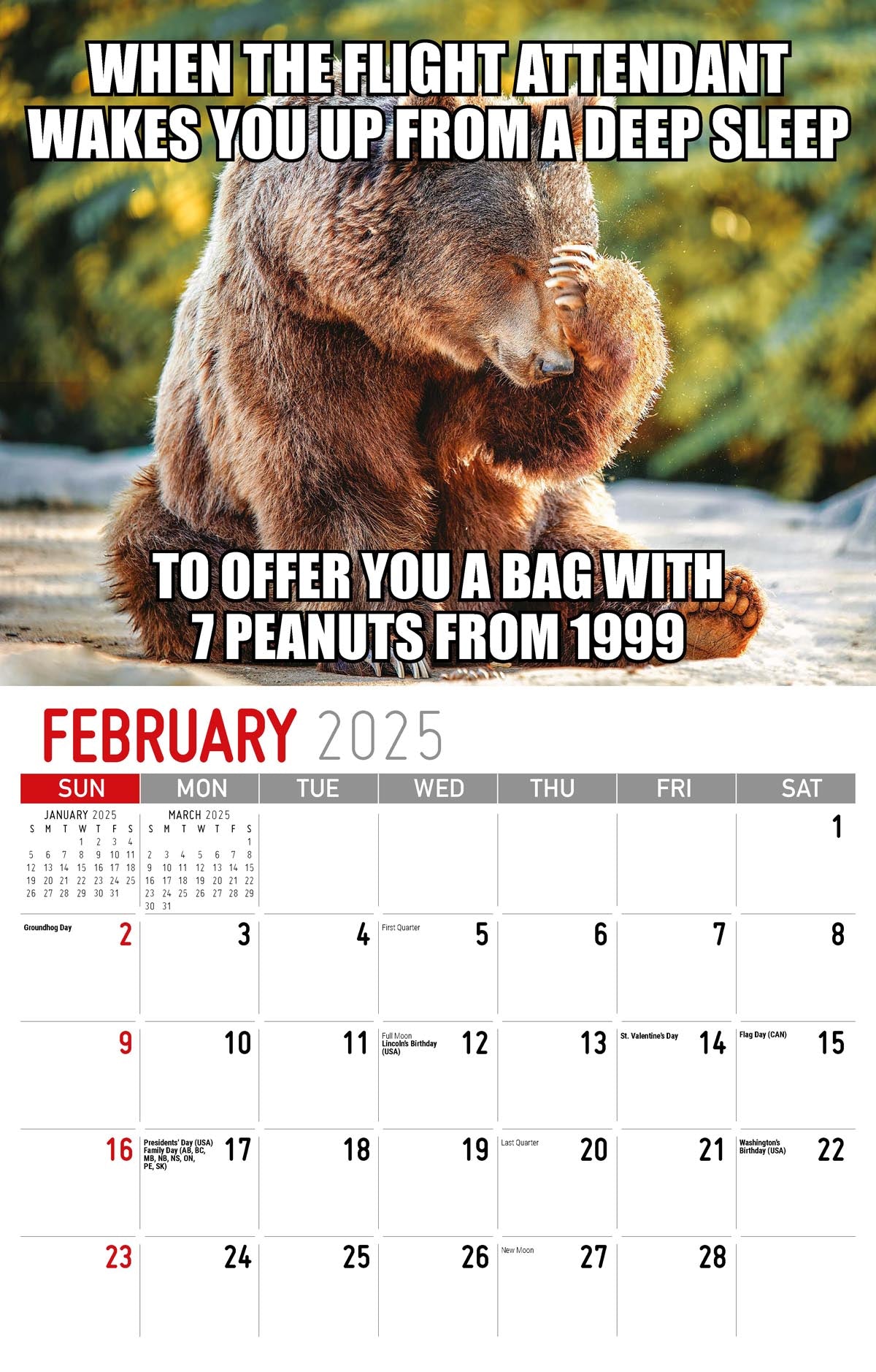 Galleria Wall Calendar 2025 The Memeing Of Life