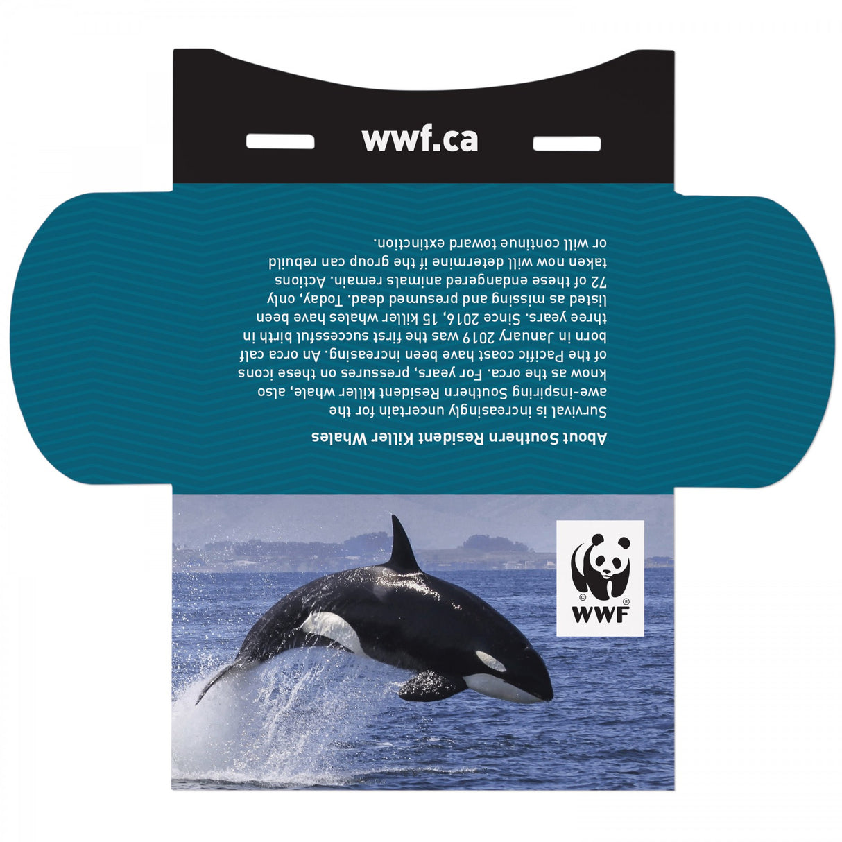 With Kiwi Scent And Large Customizable Sleeve 0 07 Fl Oz / 2 Ml Per Packet