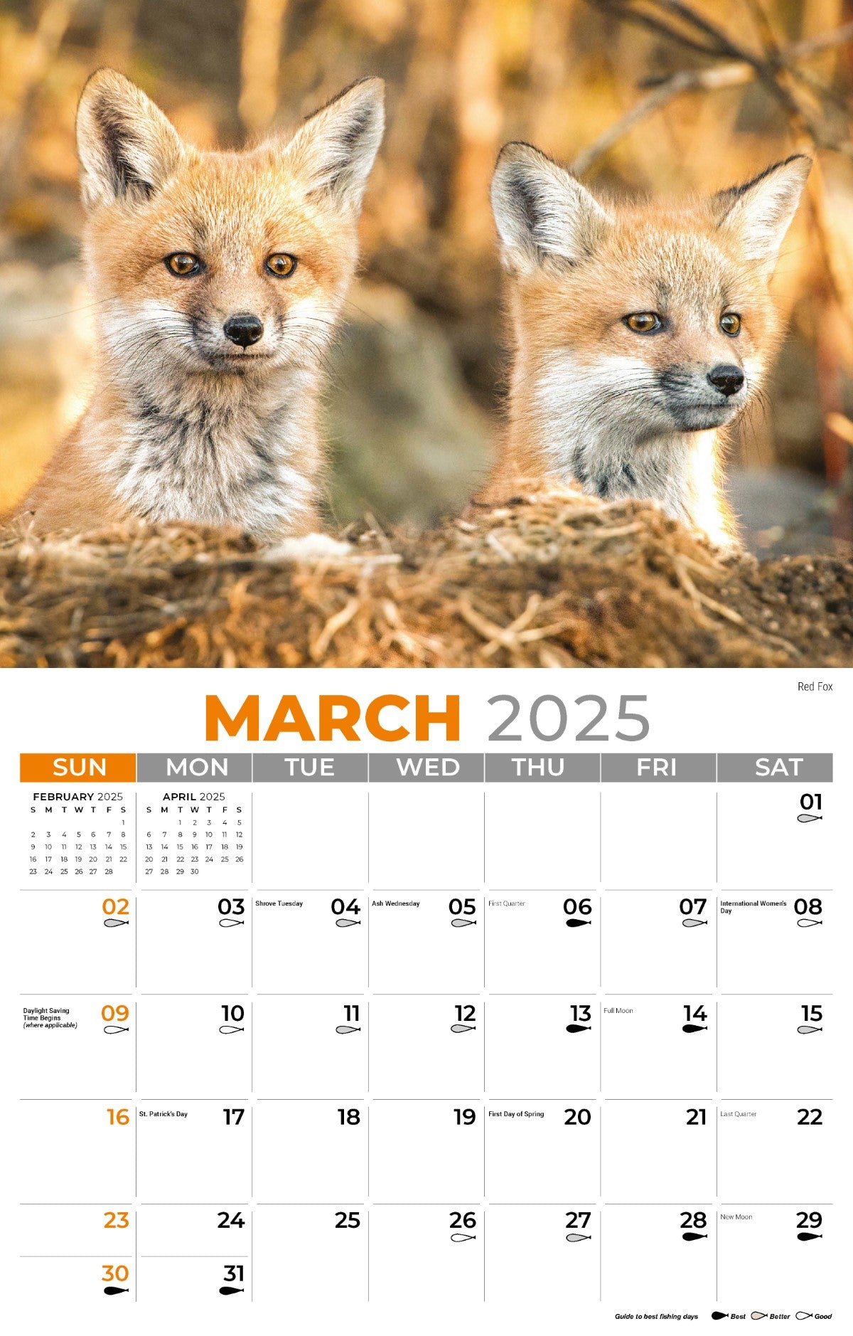 Galleria Wall Calendar 2025 North American Wildlife